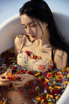 菊内留香金银花露